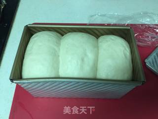 百分百全麦吐司的做法步骤：12