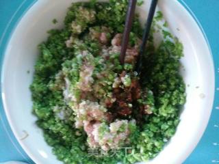 迷豆猪肉水饺的做法步骤：2