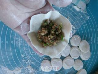 迷豆猪肉水饺的做法步骤：8