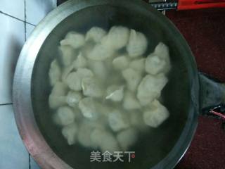 迷豆猪肉水饺的做法步骤：9