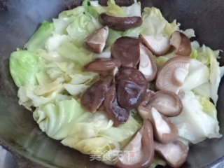 圆白菜炒香菇的做法步骤：6