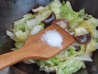 圆白菜炒香菇的做法步骤：7