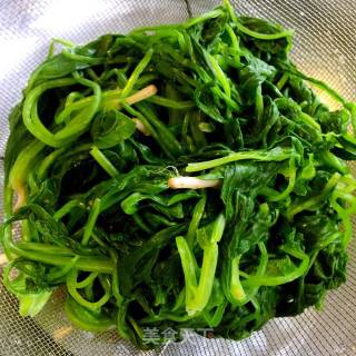 炝拌菠菜的做法步骤：1