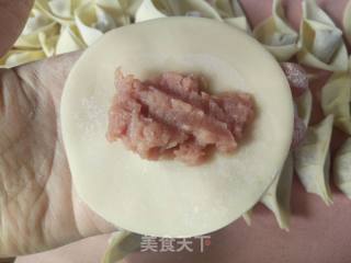 蔬菜抱蛋煎饺的做法步骤：2