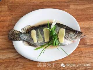 清蒸桂鱼的做法步骤：1