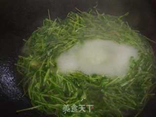 清清豆苗汤的做法步骤：4