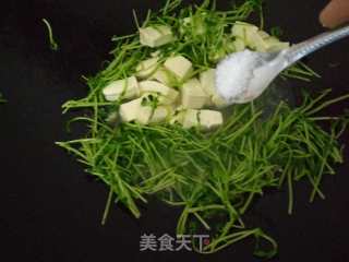豆苗炒豆腐的做法步骤：8