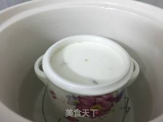 鸡肉鲜奶炖花胶的做法步骤：4