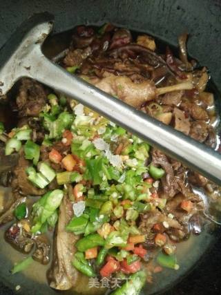 红烧鸭肉的做法步骤：9