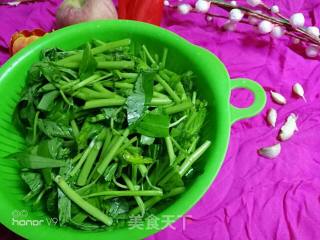 简单菜谱---清炒空心菜的做法步骤：1