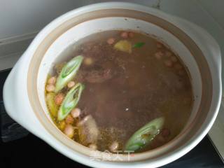 滋补养生鸽子汤的做法步骤：4