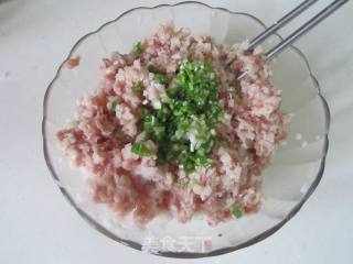 莲藕肉馅锅贴的做法步骤：6