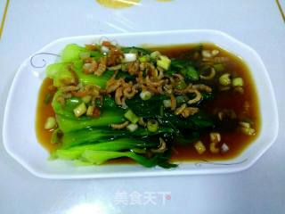 海米油菜的做法步骤：6