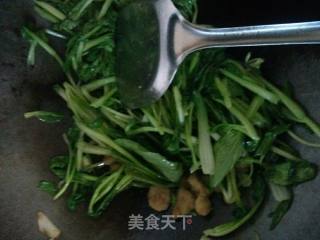 油炸炒鸡毛菜的做法步骤：3