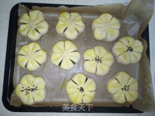 梅花酥的做法步骤：17