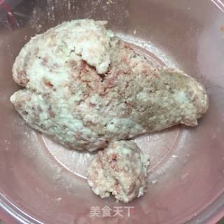 猪肉香菇粉条包的做法步骤：4