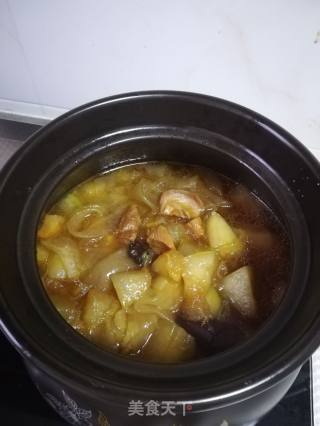 冬瓜红烧肉的做法步骤：9