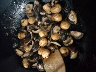 鹌鹑蛋烧香菇的做法步骤：6