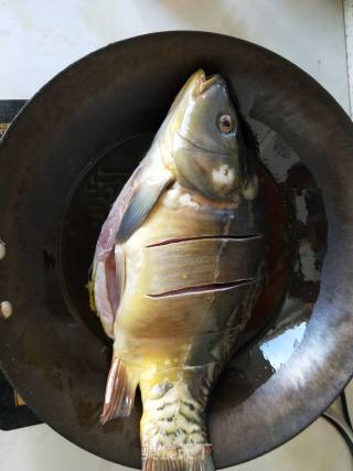啤酒鱼炖豆腐的做法步骤：2