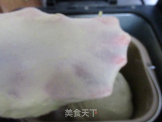 三味手撕吐司的做法步骤：6