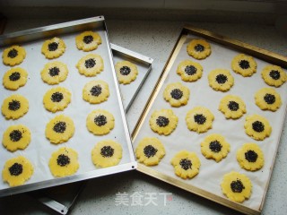 芝麻桃酥的做法步骤：15