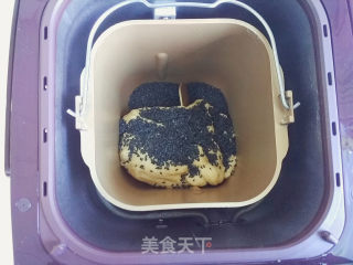全麦芝麻餐包的做法步骤：8