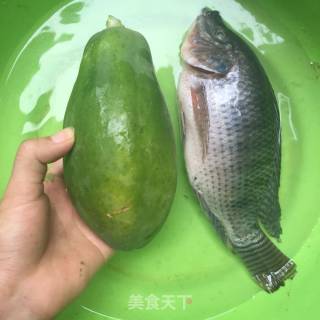 木瓜鲫鱼汤的做法步骤：1