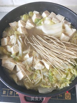 清炖白菜粉条冻豆腐的做法步骤：5