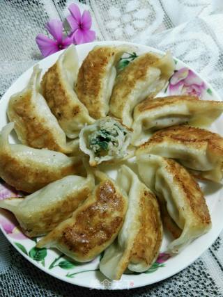 萝卜馅锅贴的做法步骤：17