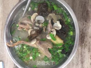 鸽子汤的做法步骤：3