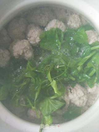 豌豆尖肉丸汤的做法步骤：5
