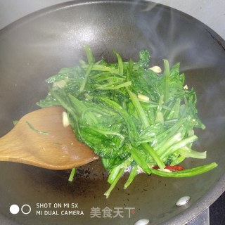 蒜茸油麦菜的做法步骤：5