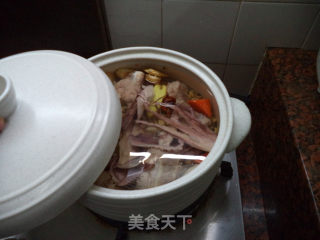 鱿鱼干牛蒡汤的做法步骤：7