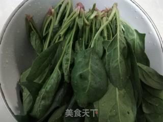 菠菜烧粉条的做法步骤：2