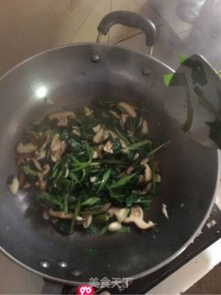 青菜炒香菇的做法步骤：6