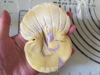 贝壳馒头的做法步骤：17