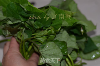 薯尖平菇的做法步骤：2