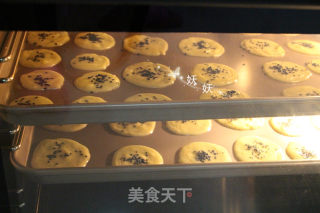 黑芝麻瓦片酥的做法步骤：12