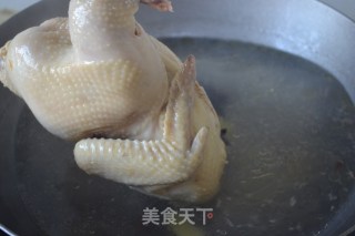 青椒姜母鸡的做法步骤：5