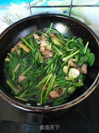 菠菜粉条炖肉的做法步骤：6