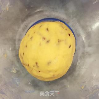 香甜酥脆的蔓越莓酥条饼干棒的做法步骤：8