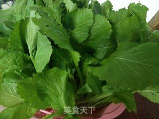 炒多头菜秧秧的做法步骤：1