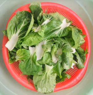 蒜末汤匙菜的做法步骤：3