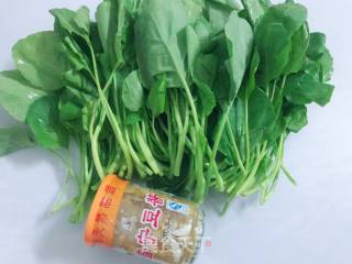 豆酱芥兰缨的做法步骤：1