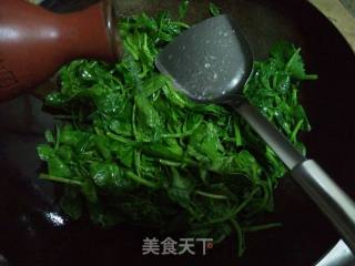 酒香豆苗的做法步骤：1