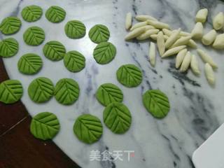 仿真白菜馒头-花样面食的做法步骤：3