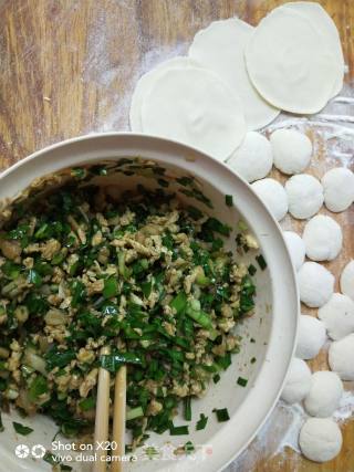 银鱼韭菜馅饺子的做法步骤：6