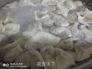 银鱼韭菜馅饺子的做法步骤：7