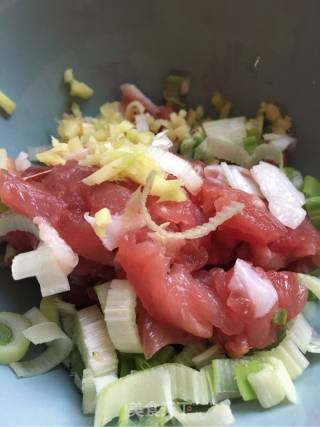 白菜肉丁包的做法步骤：7