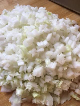 白菜肉丁包的做法步骤：9